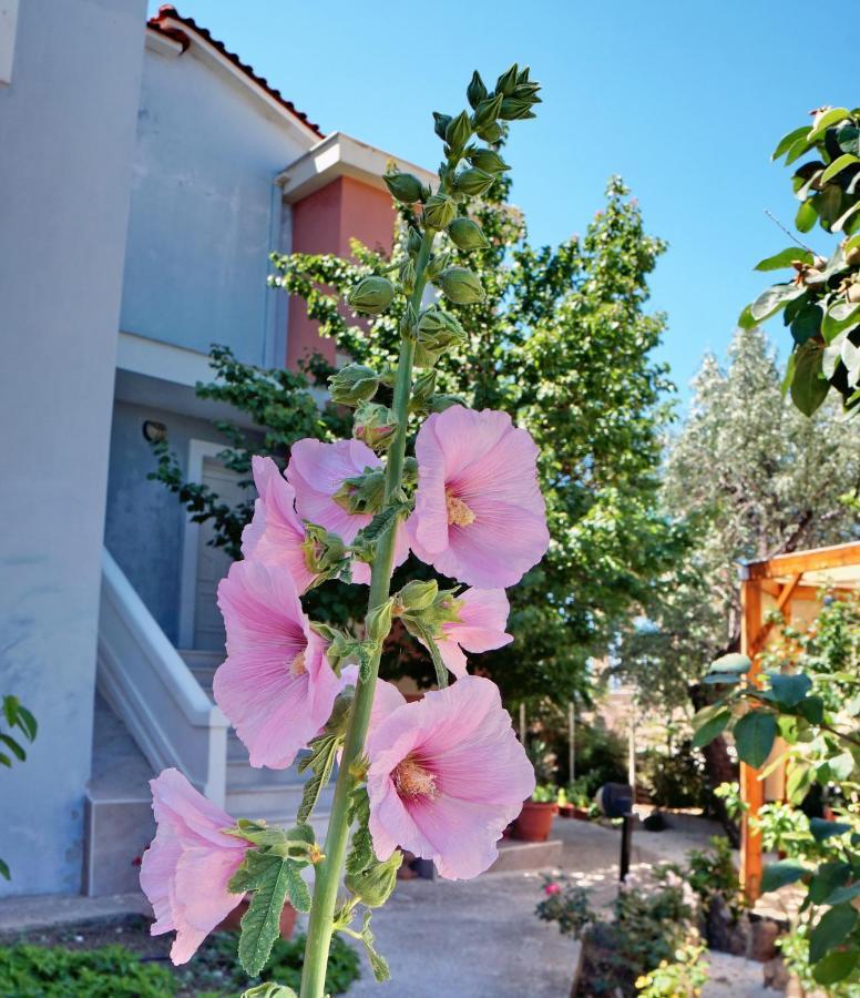 Aparthotel Edem Vatera Exterior foto
